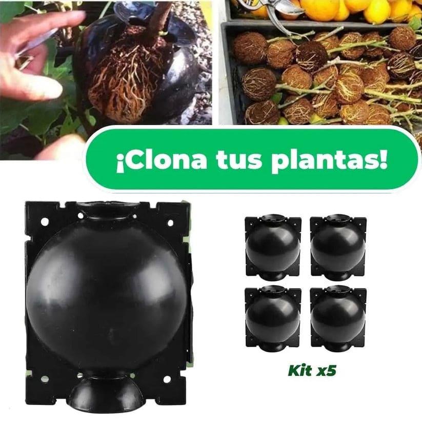 🌱 RaízPro™ - Tu Solución para Germinación y Clonación de Plantas 🌿 Paga2️⃣Lleva5️⃣ 🤯