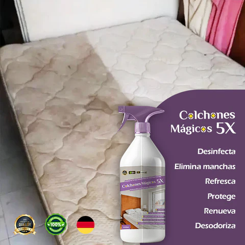 ✨ Quita manchas Grande Nueva Formula Alemana 🇩🇪 [Actived Enzimed™ 500ML] 🫧 Limpieza en seco en menos de 5 minutos 🫧