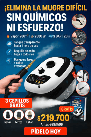 Limpiador a Vapor Portatil