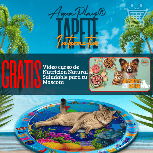 AquaPlay® PRO-🐶Tapete Interactivo Pro 🐱 ¡Pague 1 Lleve el otro GRATIS 🎁 + Curso nutricional de mascotas saludables!🐾