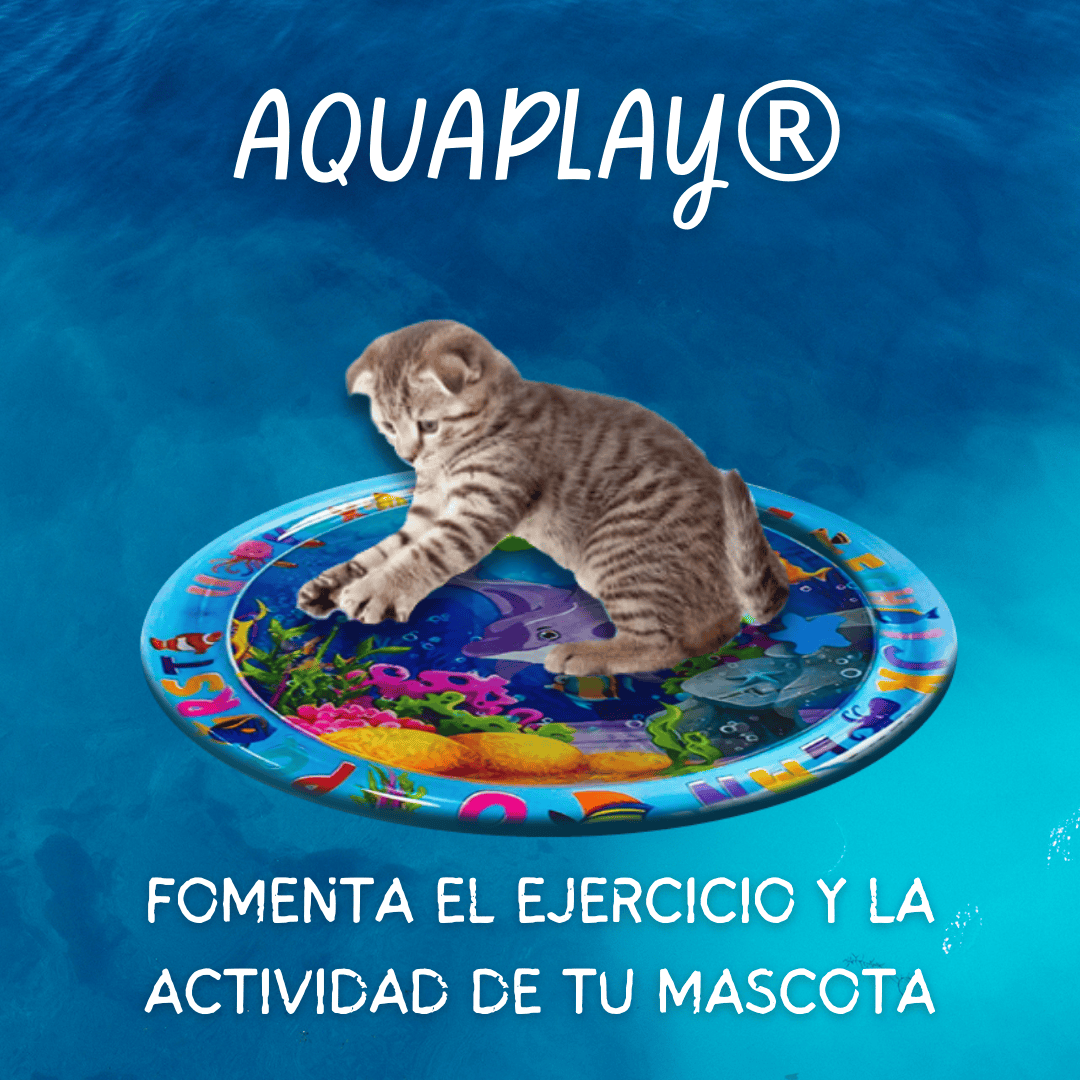 AquaPlay® PRO-🐶Tapete Interactivo Pro 🐱 ¡Pague 1 Lleve el otro GRATIS 🎁 + Curso nutricional de mascotas saludables!🐾
