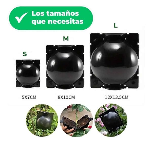 🌱 RaízPro™ - Tu Solución para Germinación y Clonación de Plantas 🌿 Paga2️⃣Lleva5️⃣ 🤯