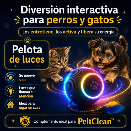 Pelota Interactiva Gatos