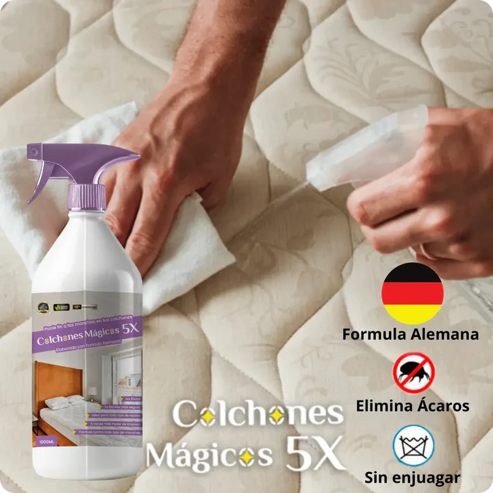 ✨ Quita manchas Grande Nueva Formula Alemana 🇩🇪 [Actived Enzimed™ 500ML] 🫧 Limpieza en seco en menos de 5 minutos 🫧