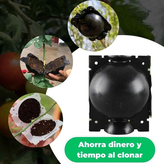 🌱 RaízPro™ - Tu Solución para Germinación y Clonación de Plantas 🌿 Paga2️⃣Lleva5️⃣ 🤯